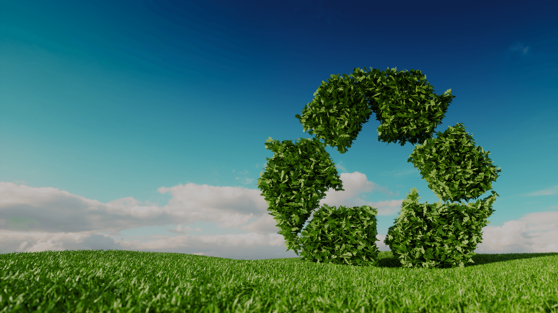 4 tips to follow to keep your factory eco-friendly